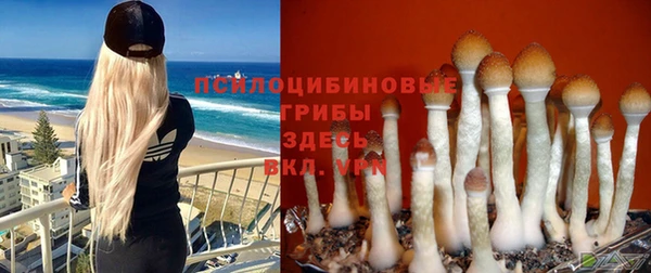 хмурый Абаза