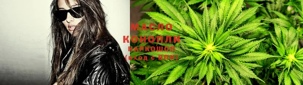 крисы Алзамай