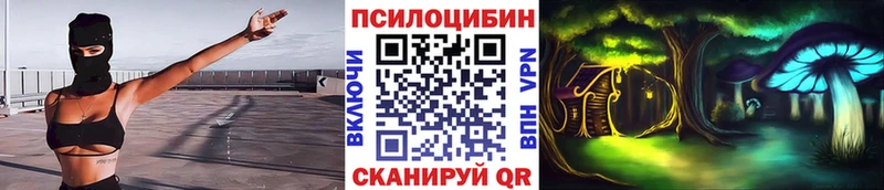 Псилоцибиновые грибы GOLDEN TEACHER  где найти   Энгельс 